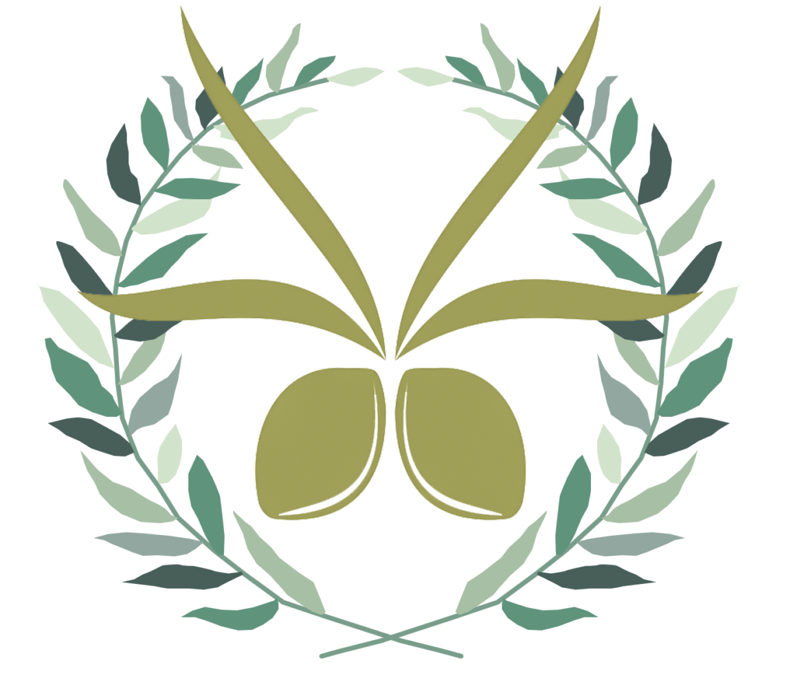 olive-tree-branch-olives.png